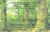 Simulated harvesting scenarios in old-growth mixed southern beech (Nothofagus) forest determine composition and structure Jenny Hurst 1,3, Glenn Stewart.