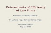 Determinants of Efficiency of Law Firms Presenter: EunYoung Whang Coauthors: Rajiv Banker, Marina Angel Temple University July 11, 2009.