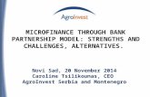 MICROFINANCE THROUGH BANK PARTNERSHIP MODEL: STRENGTHS AND CHALLENGES, ALTERNATIVES. Novi Sad, 20 November 2014 Caroline Tsilikounas, CEO AgroInvest Serbia.