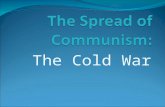 The Cold War. Topic 1: Different Ideas The Soviets and the Americans disagreed about many ideas. They had different forms of government, different political.