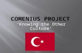 ‘Knowing the Other Culture’. In this part I would like to introduce some important Turkish traditional values …