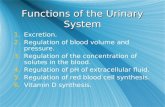 Functions of the Urinary System 1.Excretion. 2.Regulation of blood volume and pressure. 3.Regulation of the concentration of solutes in the blood. 4.Regulation.