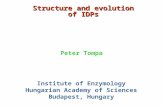 Structure and evolution of IDPs Peter Tompa Institute of Enzymology Hungarian Academy of Sciences Budapest, Hungary.