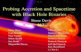 Probing Accretion and Spacetime with Black Hole Binaries Shane Davis IAS Omer Blaes Ivan Hubeny Neal Turner Julian Krolik Jim Stone Shigenobu Hirose Chris.