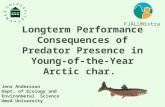 Longterm Performance Consequences of Predator Presence in Young-of-the-Year Arctic char. FJÄLLMistra Jens Andersson Dept. of Ecology and Environmetal Science.