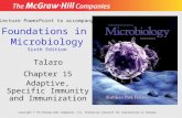 Foundations in Microbiology Sixth Edition Chapter 15 Adaptive, Specific Immunity and Immunization Lecture PowerPoint to accompany Talaro Copyright © The.