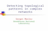 Detecting topological patterns in complex networks Sergei Maslov Brookhaven National Laboratory.
