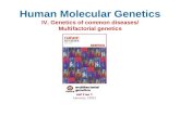 Human Molecular Genetics IV. Genetics of common diseases/ Multifactorial genetics.