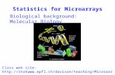 Biological background: Molecular Biology Class web site:  Statistics for Microarrays.
