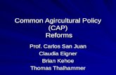 Common Agircultural Policy (CAP) Reforms Prof. Carlos San Juan Claudia Eigner Brian Kehoe Thomas Thalhammer.
