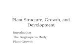 Plant Structure, Growth, and Development Introduction The Angiosperm Body Plant Growth.