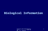 Biotech 4490 Bioinformatics I Fall 2006 J.C. Salerno 1 Biological Information.