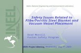Idaho National Engineering and Environmental Laboratory Safety Issues Related to Flibe/Ferritic Steel Blanket and Vacuum Vessel Placement Brad Merrill.