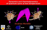 Dynamics and thermodynamics of quantum spins at low temperature Andrea Morello Kamerlingh Onnes Laboratory Leiden University UBC Physics & Astronomy TRIUMF.