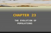 CHAPTER 23 THE EVOLUTION OF POPULATIONS. I. POPULATION GENETICS A. THE MODERN EVOLUTIONARY SYNTHESIS INTEGRATED DARWINIAN SELECTION AND MENDELIAN INHERITANCE.