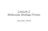 Lecture 2 Molecular Biology Primer Saurabh Sinha.