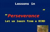 Lessons in “Perseverance” Let us learn from a BIRD.