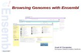 April 2006 March 2007 Xosé Mª Fernández European Bioinformatics Institute Browsing Genomes with Ensembl.