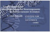 Tandem Expansions and Other Segmental Rearrangements in Human Genome Evolution S. Cenk Sahinalp CWRU now at SFU.
