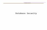 Database Security. Overview 1) Introduction 2) DB Security Plan 3) Database Access Control 4) DBMS Security: Patching 5) DB Application: SQL injection,