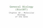 General Biology (Bio107) Chapter 10 – Molecular Biology of the Gene.