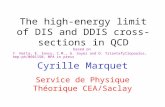The high-energy limit of DIS and DDIS cross-sections in QCD Cyrille Marquet Service de Physique Théorique CEA/Saclay based on Y. Hatta, E. Iancu, C.M.,