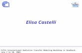 Elisa Castelli Fifth International Radiative Transfer Modeling Workshop in Bredbeck, July 7 to 10, 2003.
