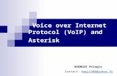 Voice over Internet Protocol (VoIP) and Asterisk HOUNGUE Pélagie Contact: hepy1900@yahoo.fr.