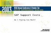 SAP Support Costs Am I Paying too Much?. Agenda  Company Background  SAP System Details & Support Model  Base Line Cost Assessment  Evaluate the Options.