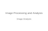 Image Processing and Analysis Image Analysis. Pixel Values: Line Profile.