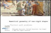 1 Numerical geometry of non-rigid shapes Geometry Numerical geometry of non-rigid shapes Shortest path problems Alexander Bronstein, Michael Bronstein,