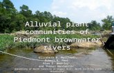 Alluvial plant communities of Piedmont brownwater rivers Elizabeth R. Matthews 1, Robert K. Peet 1, Alan S. Weakley 1, and Thomas Wentworth 2. University.