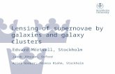 Lensing of supernovae by galaxies and galaxy clusters Edvard Mörtsell, Stockholm Jakob Jönsson, Oxford Ariel Goobar; Teresa Riehm, Stockholm.