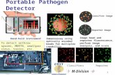 6/3/20151 Portable Pathogen Detector Classifier Image Reporter Image Hand-held instrumentImmunoassay using optically encoded beads for multiplex capability.
