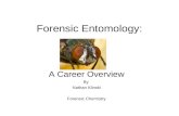 Forensic Entomology: A Career Overview By Nathan Klinski Forensic Chemistry.