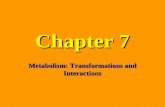 Chapter 7 Metabolism: Transformations and Interactions.