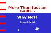 E # More Than Just an Audit… Why Not? Assurance & Advisory Business Services Eckardt Kriel.