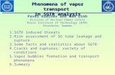 Phenomena of vapor transport in SGTR analysis Pavel Kudinov and Nam Dinh Division of Nuclear Power Safety Royal Institute of Technology (KTH) Stockholm,
