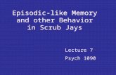 Episodic-like Memory and other Behavior in Scrub Jays Lecture 7 Psych 1090.