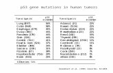 P53 gene mutations in human tumors Greenblatt et al. (1995) Cancer Res. 54:4855 50%