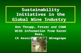 Sustainability Initiatives in the Global Wine Industry Ann Thrupp, Fetzer and CSWA With information from Karen Ross, CA Association of Winegrape Growers.