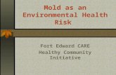 Mold as an Environmental Health Risk Fort Edward CARE Healthy Community Initiative.