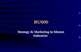 BU600 Strategy & Marketing in Mature Industries. Session Objectives Understand the characteristics of mature markets and the implications for strategy.