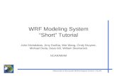 Mesoscale & Microscale Meteorological Division / NCAR WRF Modeling System “Short” Tutorial John Michalakes, Jimy Dudhia, Wei Wang, Cindy Bruyere, Michael.