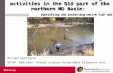 Delivery Fish research and monitoring activities in the Qld part of the northern MD Basin: Identifying and protecting native fish and fish habitats Michael.