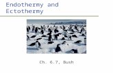 Endothermy and Ectothermy Ch. 6.7, Bush. Outline  Effects of temperature on life  Thermoregulation  Ecological aspects of thermoregulation.