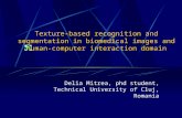 Texture-based recognition and segmentation in biomedical images and human-computer interaction domain Delia Mitrea, phd student, Technical University of.