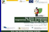 The EVITA International Cooperation Program on e-Business Promotion for SMEs Stanislav Sraka, Development agency Sinergija Hatzakis Ilias. Project Manager,