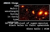 AMUSE-Virgo AGN Multi-wavelength Survey in Early type galaxies On the survival of super-massive black holes in faint spheroids Elena Gallo | UCSB.