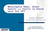 TH Technology kcannell@thtechnology.com Karen Cannell kcannell@thtechnology.com  Meaningful Maps, Great Gantts and Charts to.
